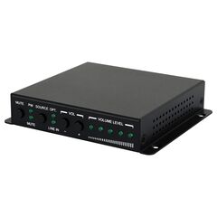 DCT-42 Digital/Analog to Speakers Audio Amplifier